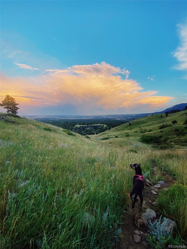 view of landscape with a rural view