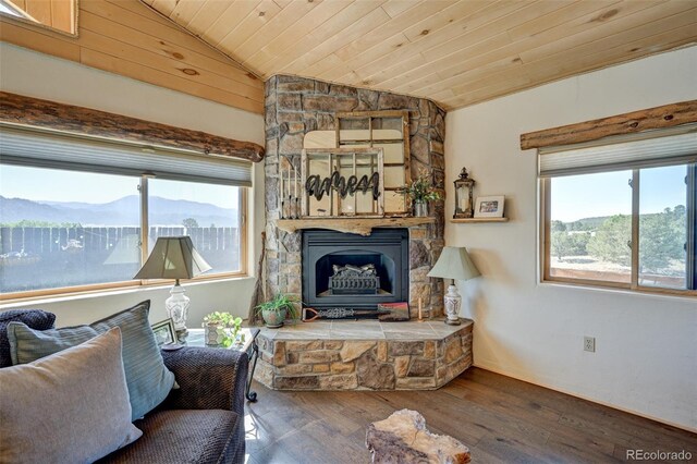 24700 US Highway 285, Buena Vista, CO 81211 - living room with vaulted ceiling, wooden ceiling, wood finished floors, and a mountain view