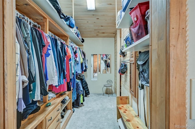 24700 US Highway 285, Buena Vista, CO 81211 - spacious closet featuring carpet flooring