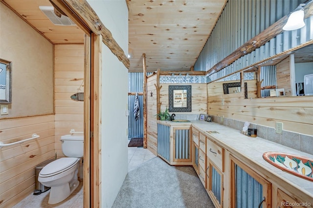 24700 US Highway 285, Buena Vista, CO 81211 - full bath featuring wood walls and double vanity