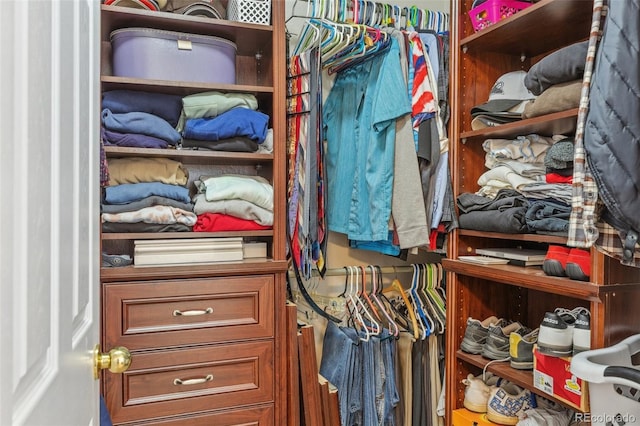 view of walk in closet