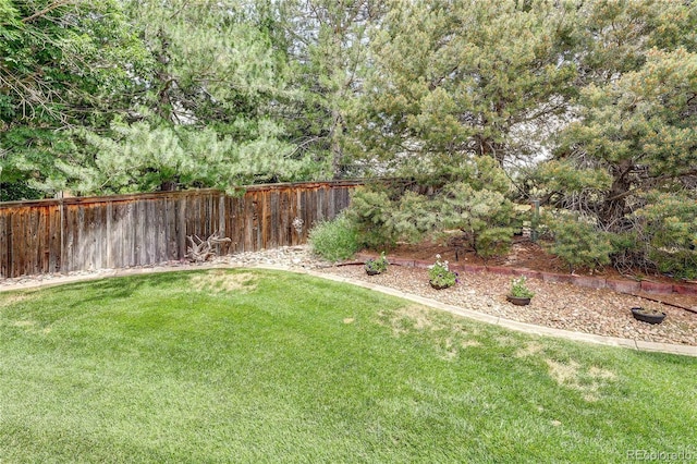 10292 Nickolas Ave, Highlands Ranch, CO 80130 - view of yard