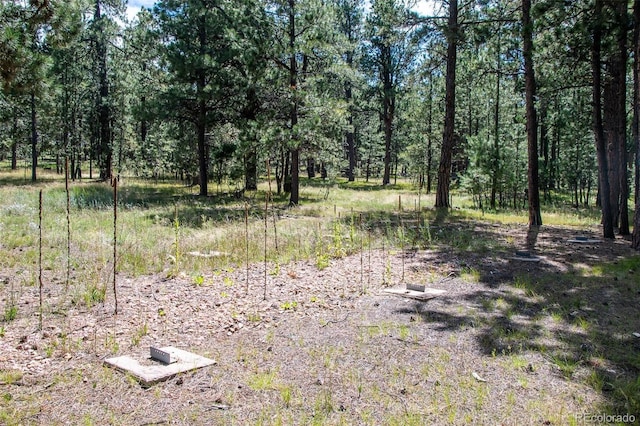 10775 Hardy Rd, Colorado Springs, CO 80908