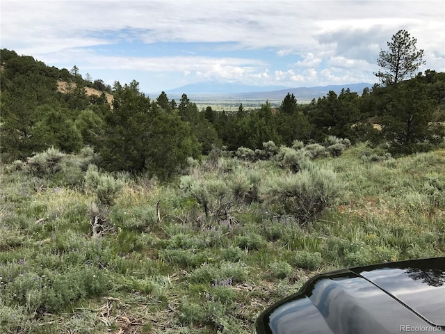LOT29 Lakeview Rd, San Luis, CO 81152 - photo 9