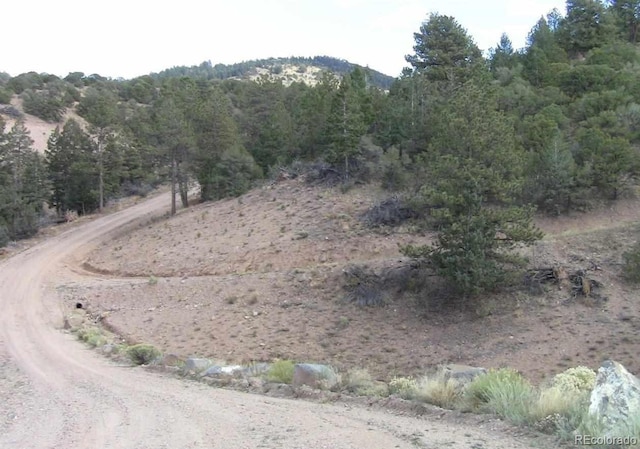 LOT29 Lakeview Rd, San Luis, CO 81152 - photo 4