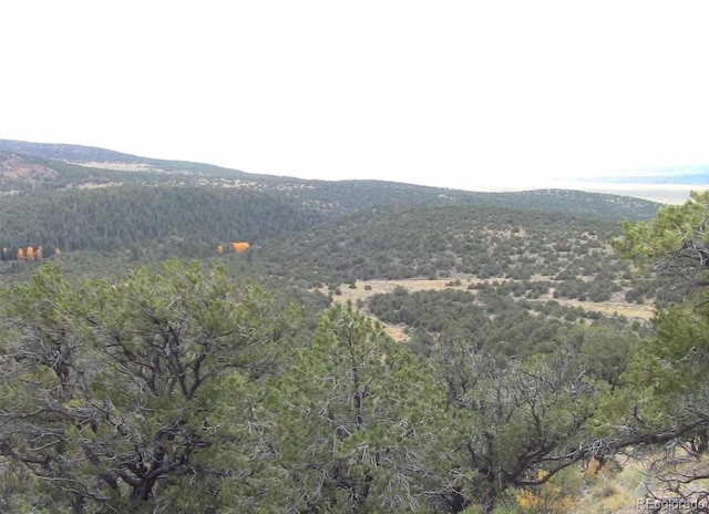 LOT29 Lakeview Rd, San Luis, CO 81152 - photo 13