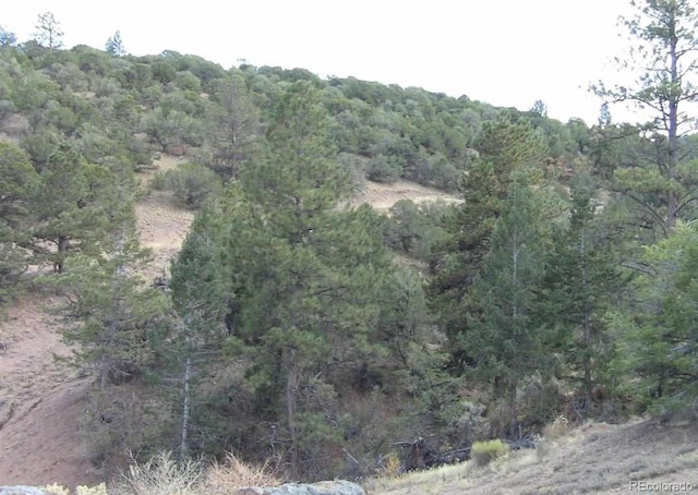 LOT29 Lakeview Rd, San Luis, CO 81152 - photo 15