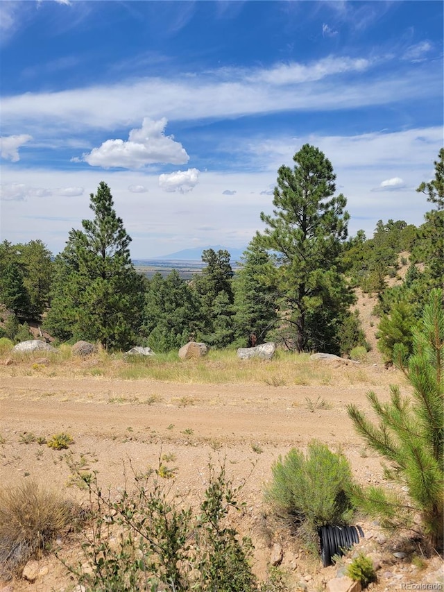 LOT29 Lakeview Rd, San Luis, CO 81152 - photo 5