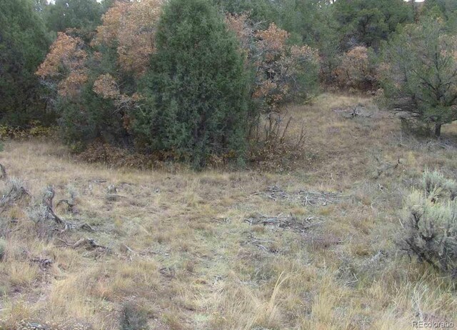 LOT29 Lakeview Rd, San Luis, CO 81152 - photo 6