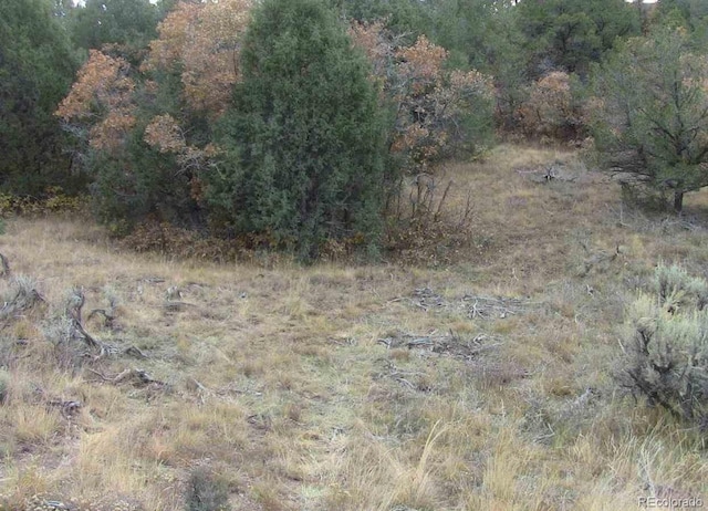 LOT29 Lakeview Rd, San Luis, CO 81152 - photo 7