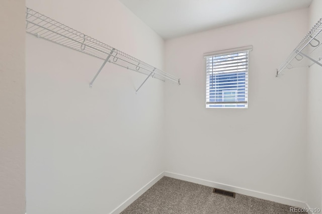 spacious closet featuring carpet floors