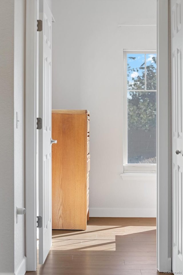 hall featuring hardwood / wood-style flooring