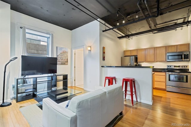 living room with a towering ceiling and light hardwood / wood-style floors