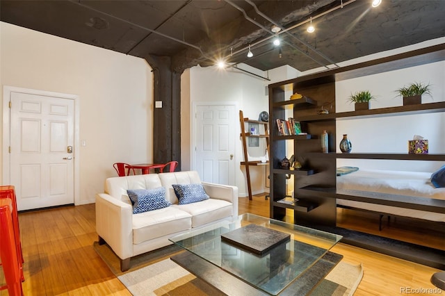 living room featuring wood-type flooring