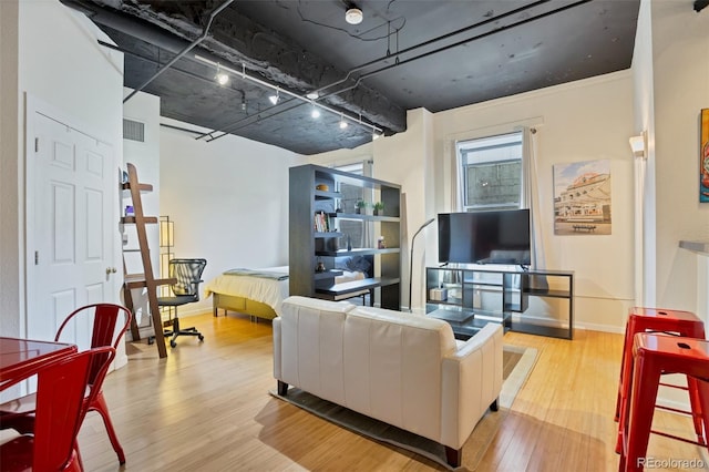 living room featuring light hardwood / wood-style flooring