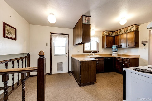 kitchen with a sink, white electric range, light countertops, dark brown cabinets, and light carpet