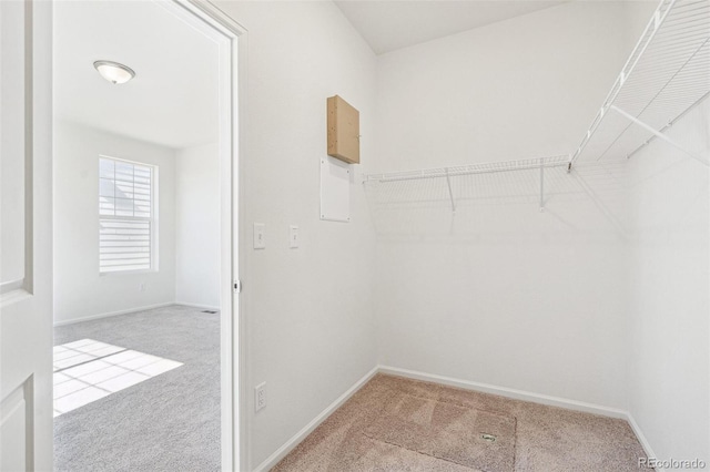 4692 Amrock Dr, Johnstown, CO 80534 - photo 28