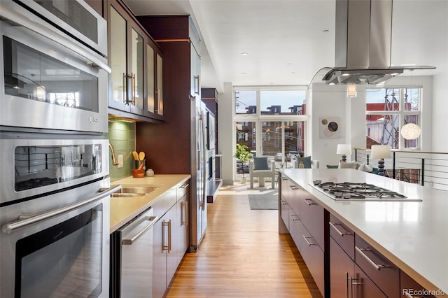 kitchen with dark brown cabinets, light wood-type flooring, tasteful backsplash, island range hood, and stainless steel appliances