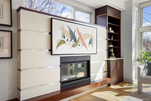 room details with wood finished floors and a glass covered fireplace