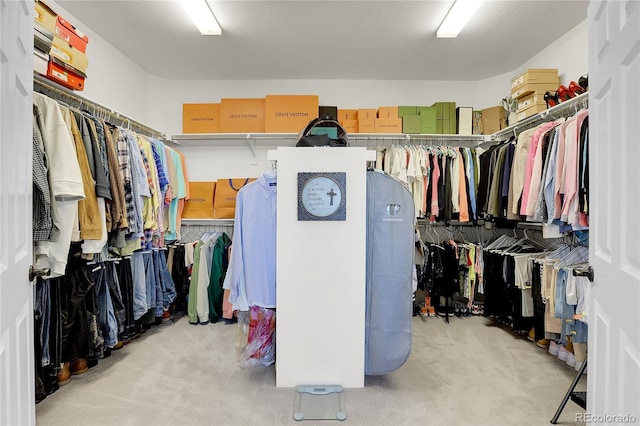 walk in closet featuring light colored carpet