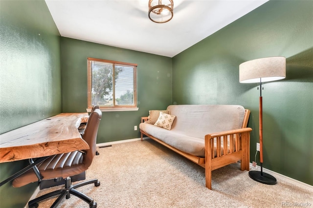 1024 Bromefield Dr, Fountain, CO 80817 - office space with carpet