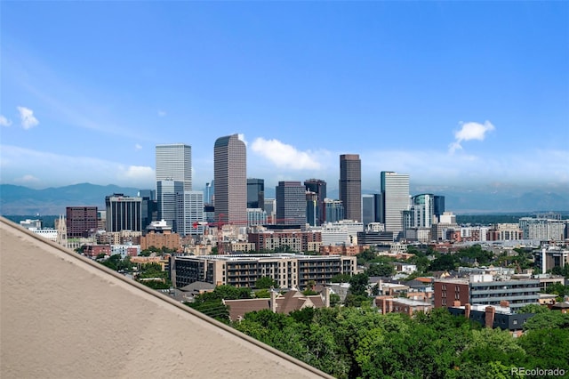 1313 N Williams St Unit 1602, Denver, CO 80218 - photo 6