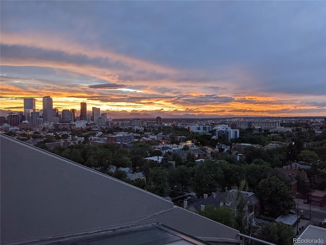 1313 N Williams St Unit 1602, Denver, CO 80218 - photo 26
