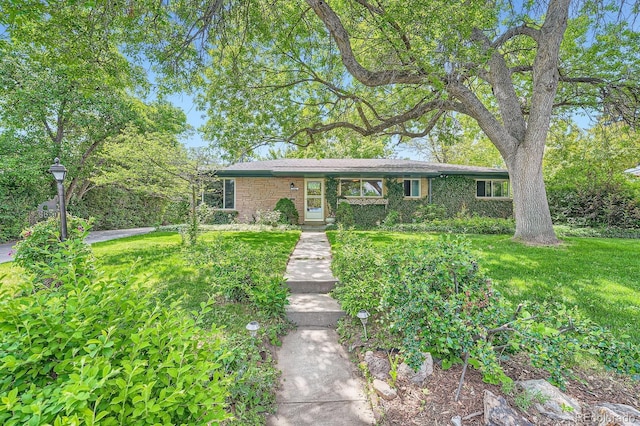 8600 W 2nd Ave, Lakewood, CO 80226 - ranch-style house with brick siding and a front lawn