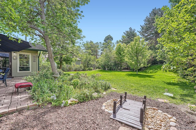8600 W 2nd Ave, Lakewood, CO 80226 - view of grassy yard with a patio