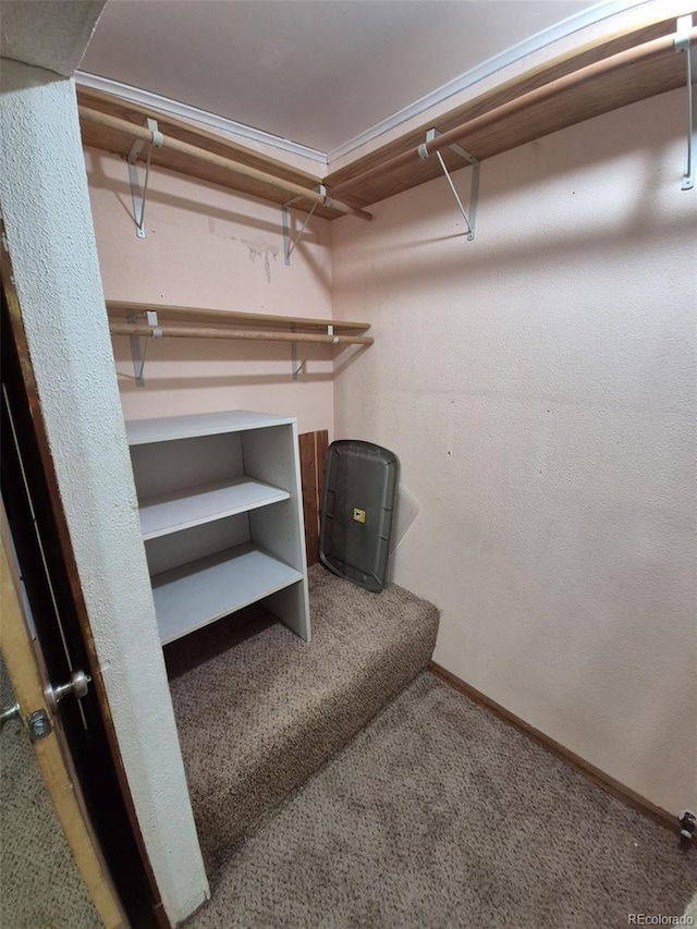 1078 Elmira St, Aurora, CO 80010 - spacious closet featuring carpet floors