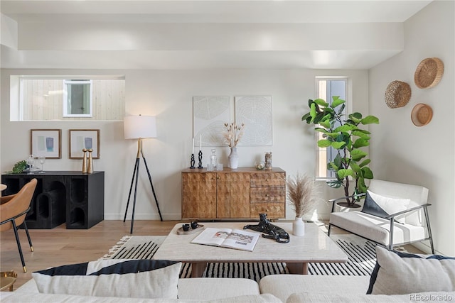 living area featuring baseboards and wood finished floors