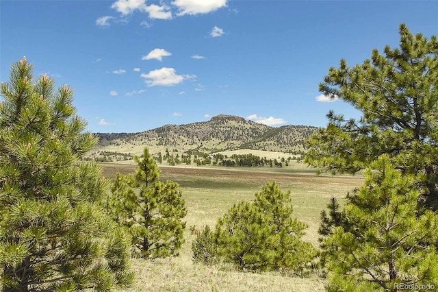 129 Eagle Nest Trl, Guffey, CO 80820