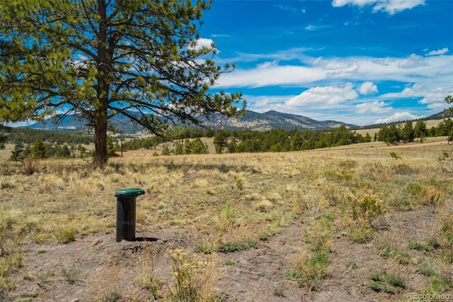 129 Eagle Nest Trl, Guffey, CO 80820
