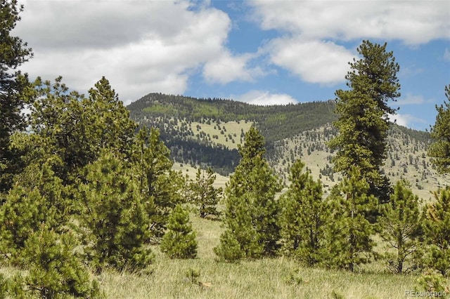 129 Eagle Nest Trl, Guffey, CO 80820
