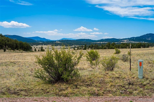 129 Eagle Nest Trl, Guffey, CO 80820