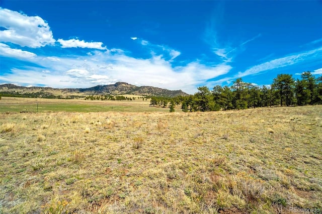 129 Eagle Nest Trl, Guffey, CO 80820