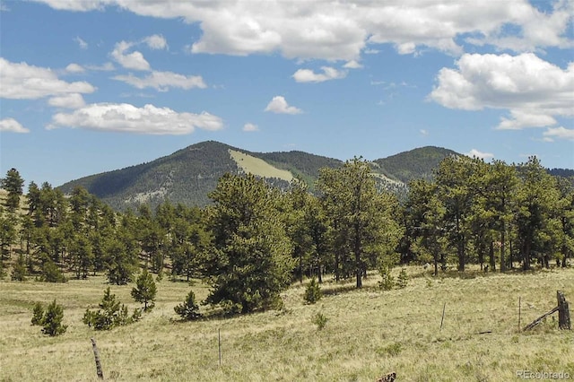 129 Eagle Nest Trl, Guffey, CO 80820