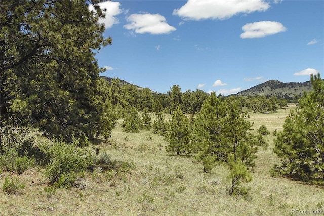 129 Eagle Nest Trl, Guffey, CO 80820