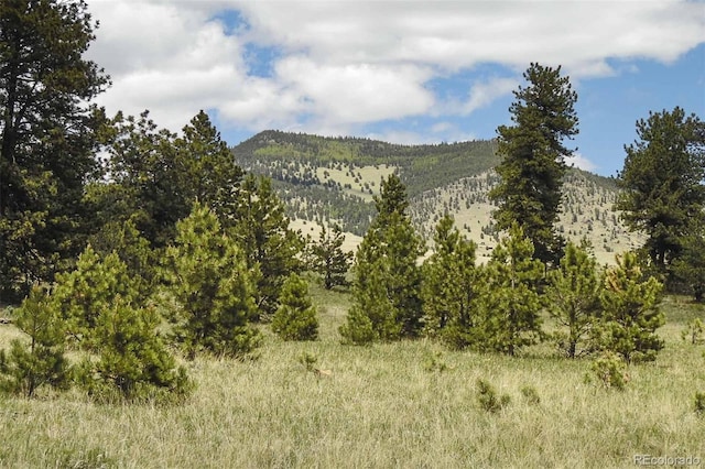 129 Eagle Nest Trl, Guffey, CO 80820