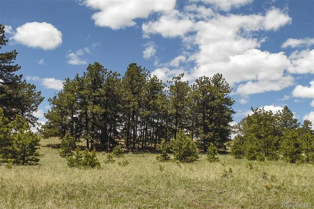 129 Eagle Nest Trl, Guffey, CO 80820