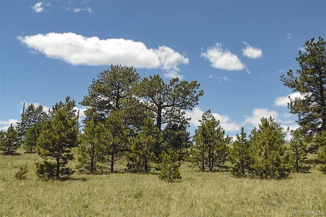 129 Eagle Nest Trl, Guffey, CO 80820