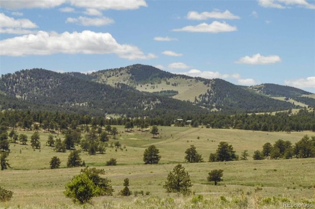 129 Eagle Nest Trl, Guffey, CO 80820