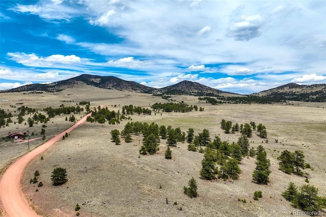 129 Eagle Nest Trl, Guffey, CO 80820