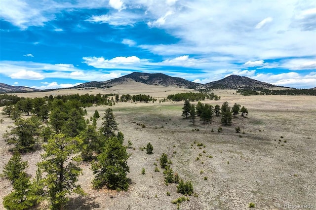 129 Eagle Nest Trl, Guffey, CO 80820