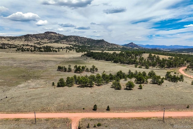 129 Eagle Nest Trl, Guffey, CO 80820