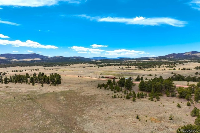 129 Eagle Nest Trl, Guffey, CO 80820