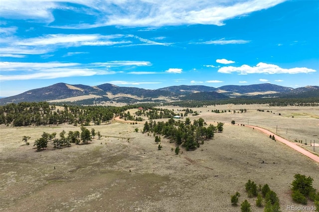 129 Eagle Nest Trl, Guffey, CO 80820