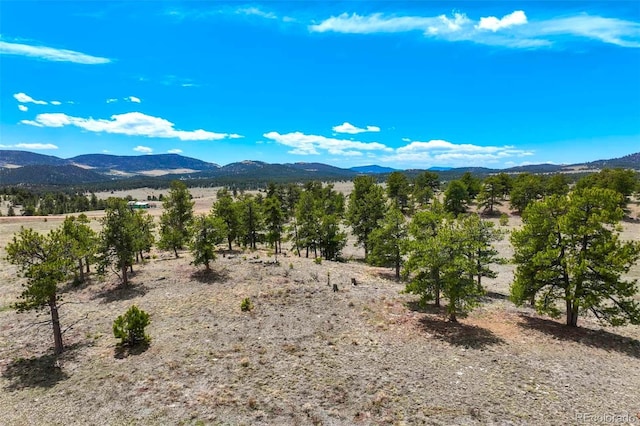129 Eagle Nest Trl, Guffey, CO 80820