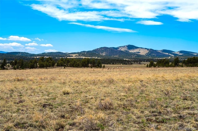 129 Eagle Nest Trl, Guffey, CO 80820