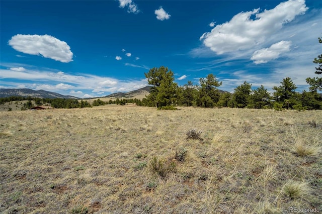 129 Eagle Nest Trl, Guffey, CO 80820